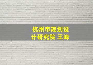 杭州市规划设计研究院 王峰